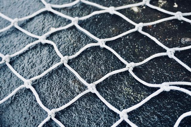 Pigeon Netting Services