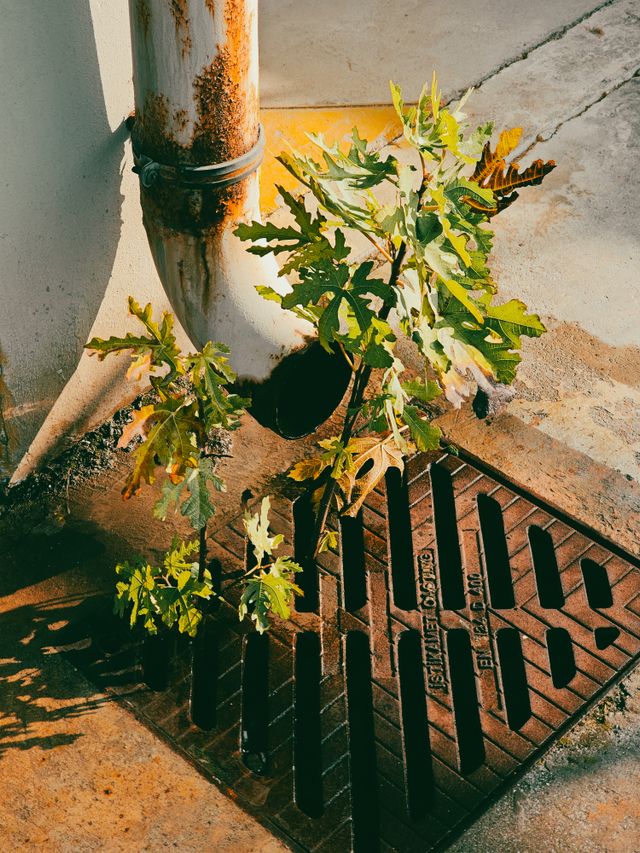 Drainage Cleaning Service